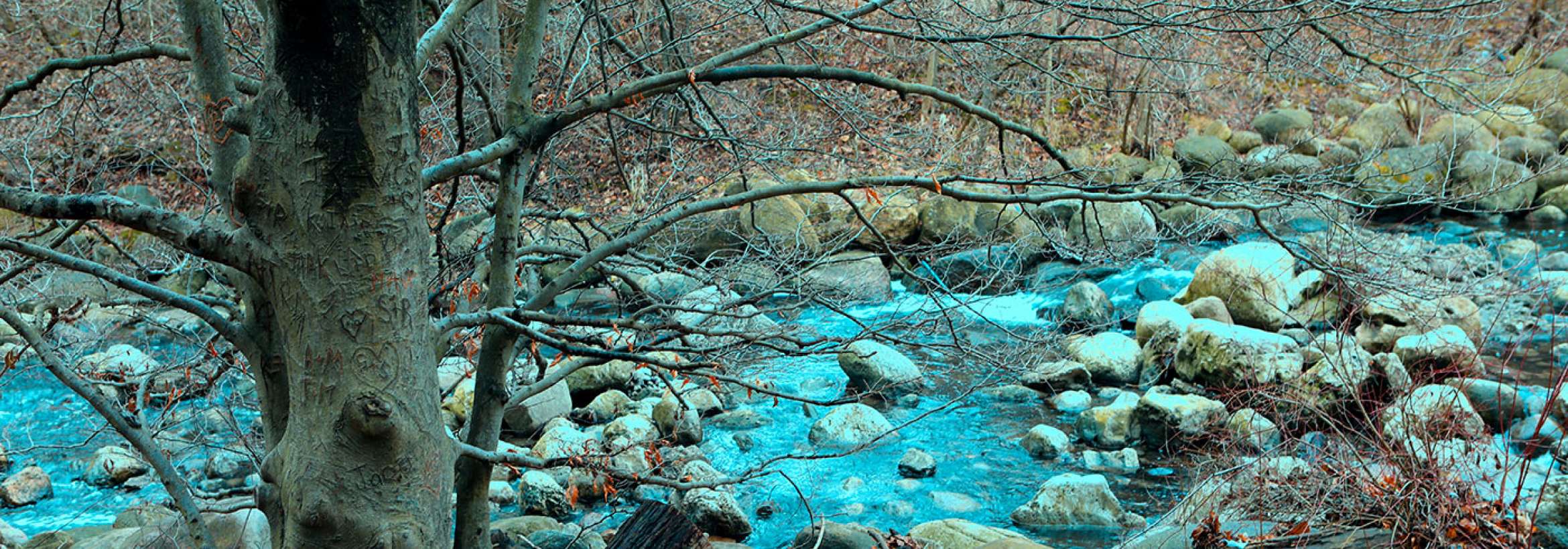 به رنگ فیروزه‌ای