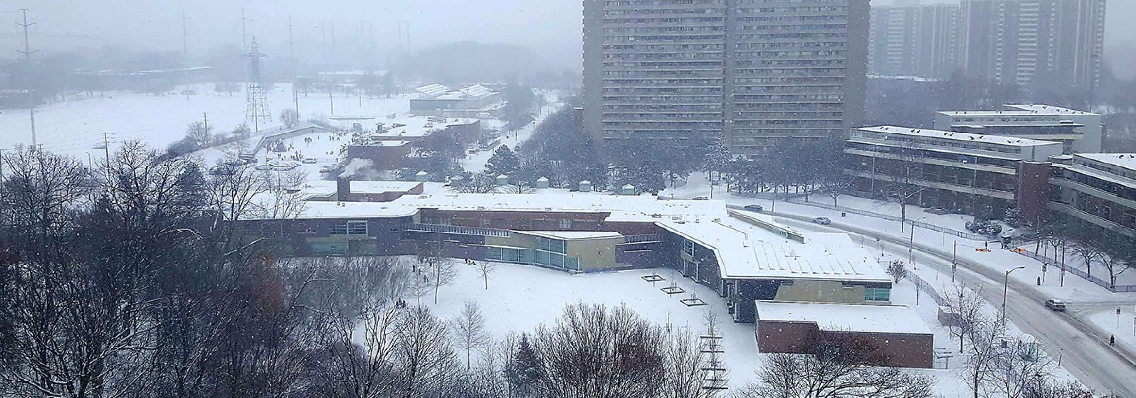 بیست سانت برف می‌بارد