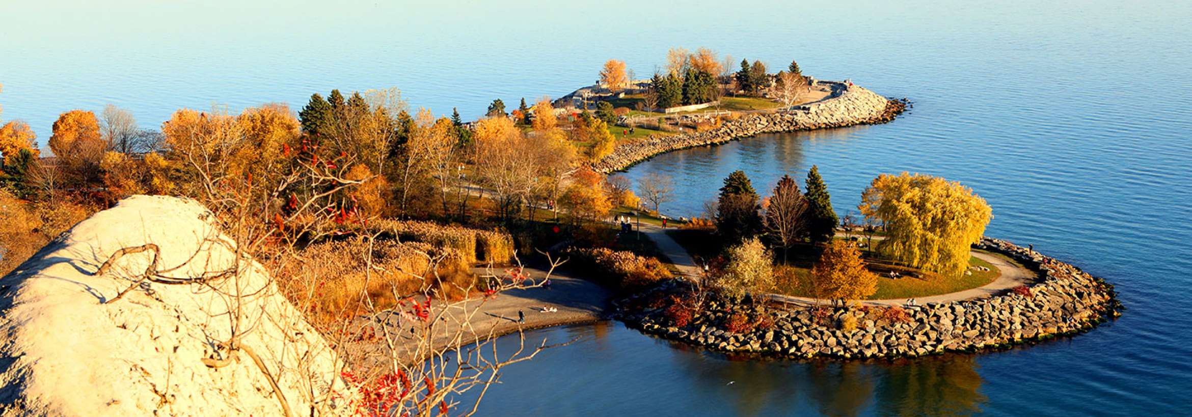 پائیز قهوه‌ای میان آب آبی