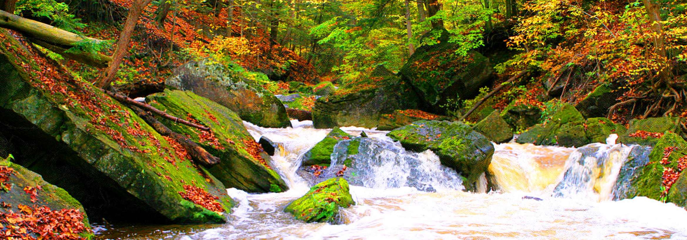 ورود پائیز به رودخانه