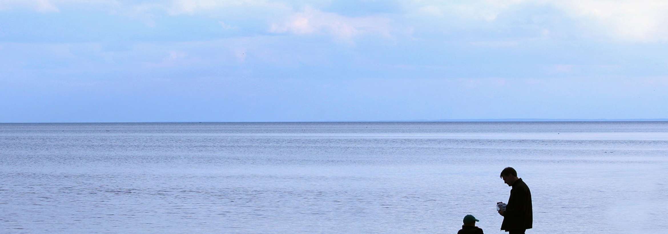 پدر، پسر، پرندگان