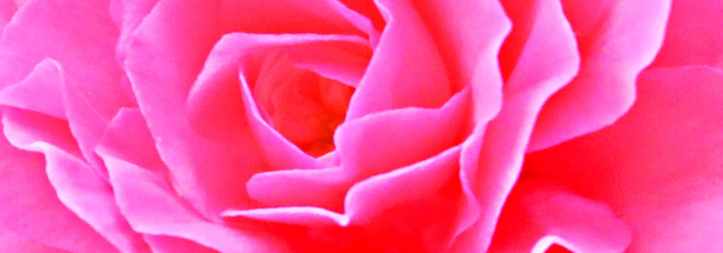 صورتی صورتی