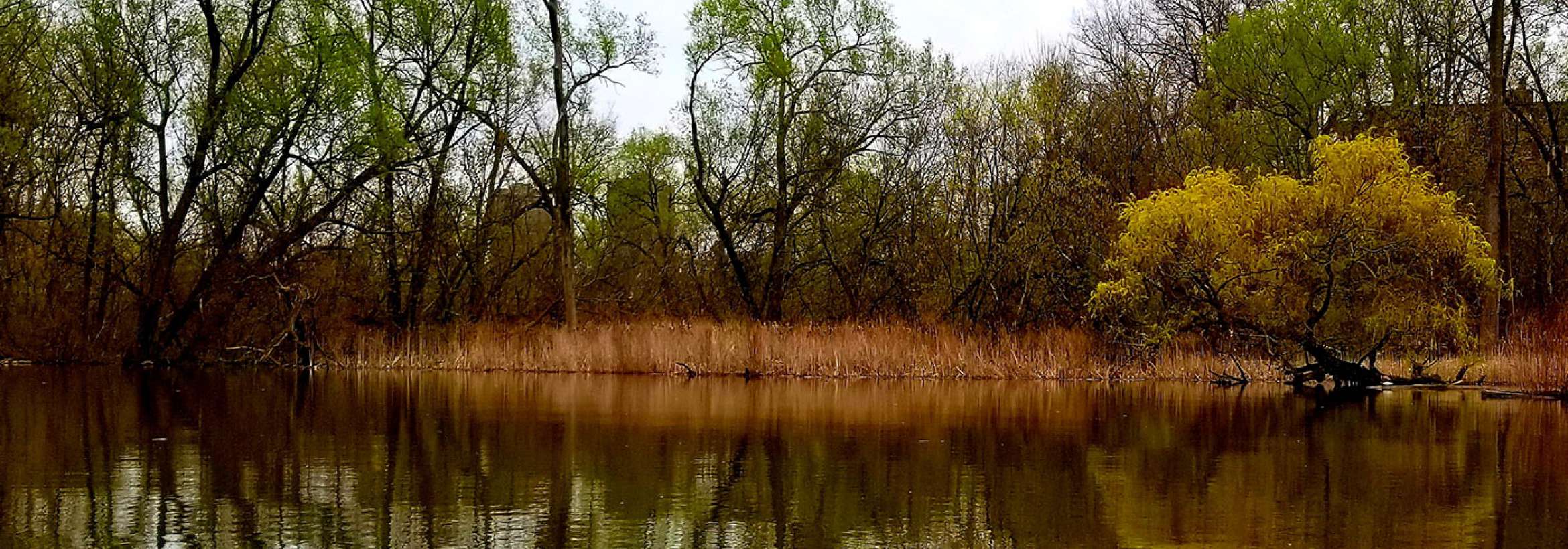 آخرین روزهای پائیزی برکه