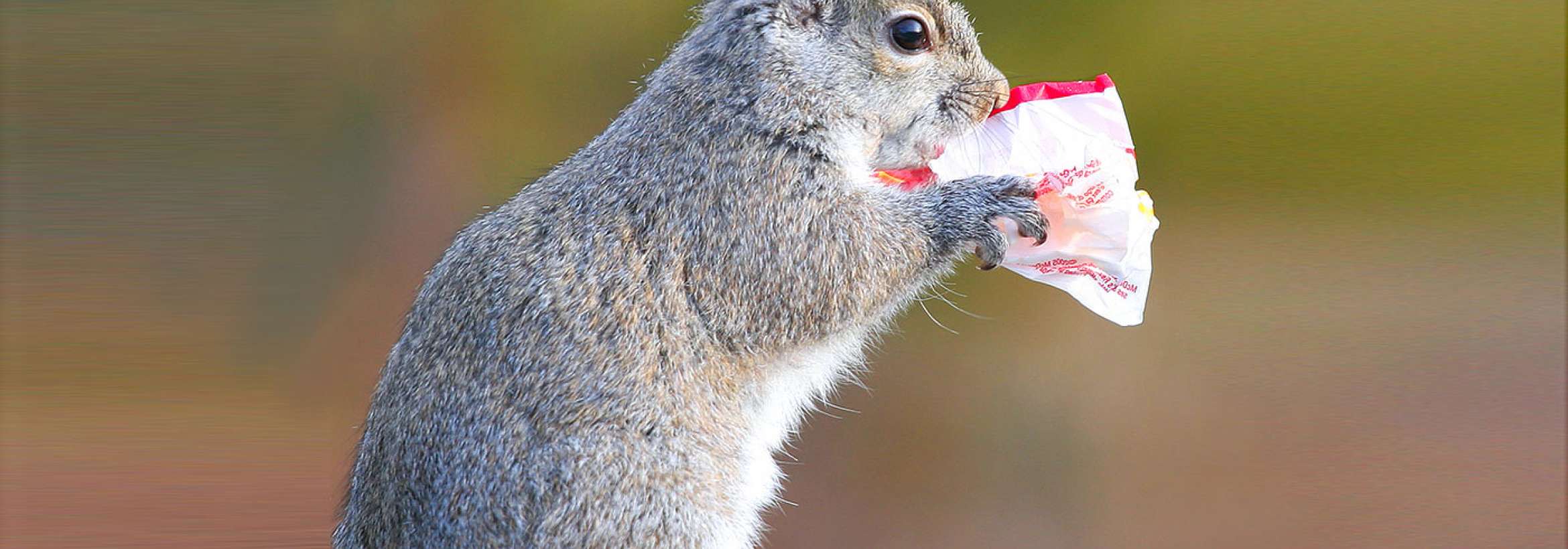 تشنه یا گرسنه؟