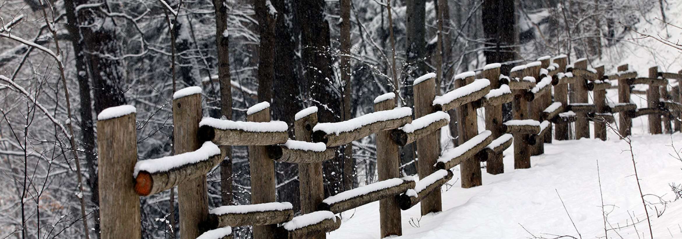 نرده‌های چوبی در زمستان