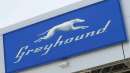news-grayhound-gharb