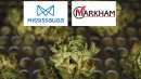 news-mississauga-markham-no-pot