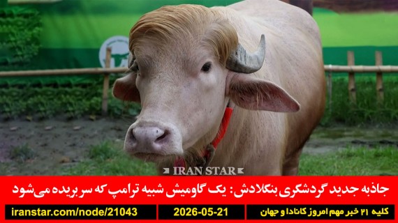 گاومیش-شبیه-ترامپ-بنگلادش-اسرائیل-غزه-اخراج-کوبا-حمله-تایوان-گفتگو