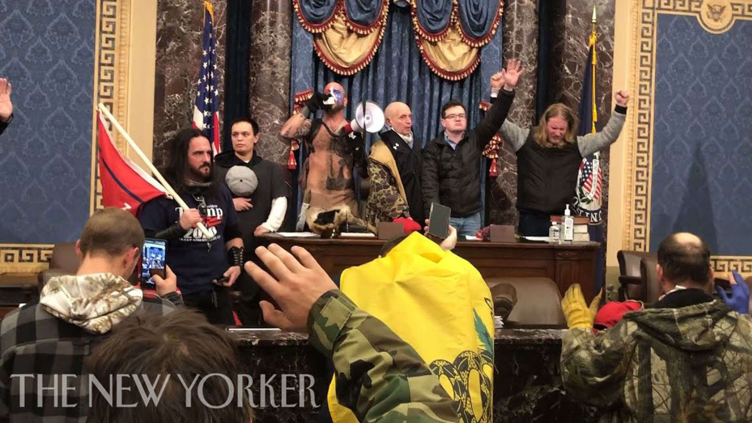 اخبار-آمریکا-فیلم-اشغال-مجلس-آمریکا-توسط-خبرنگار-نیویورکر-در-میان-معترضان-منتشر-شد اخبار-آمریکا-فیلم-اشغال-مجلس-آمریکا-توسط-خبرنگار-نیویورکر-در-میان-معترضان-منتشر-شد