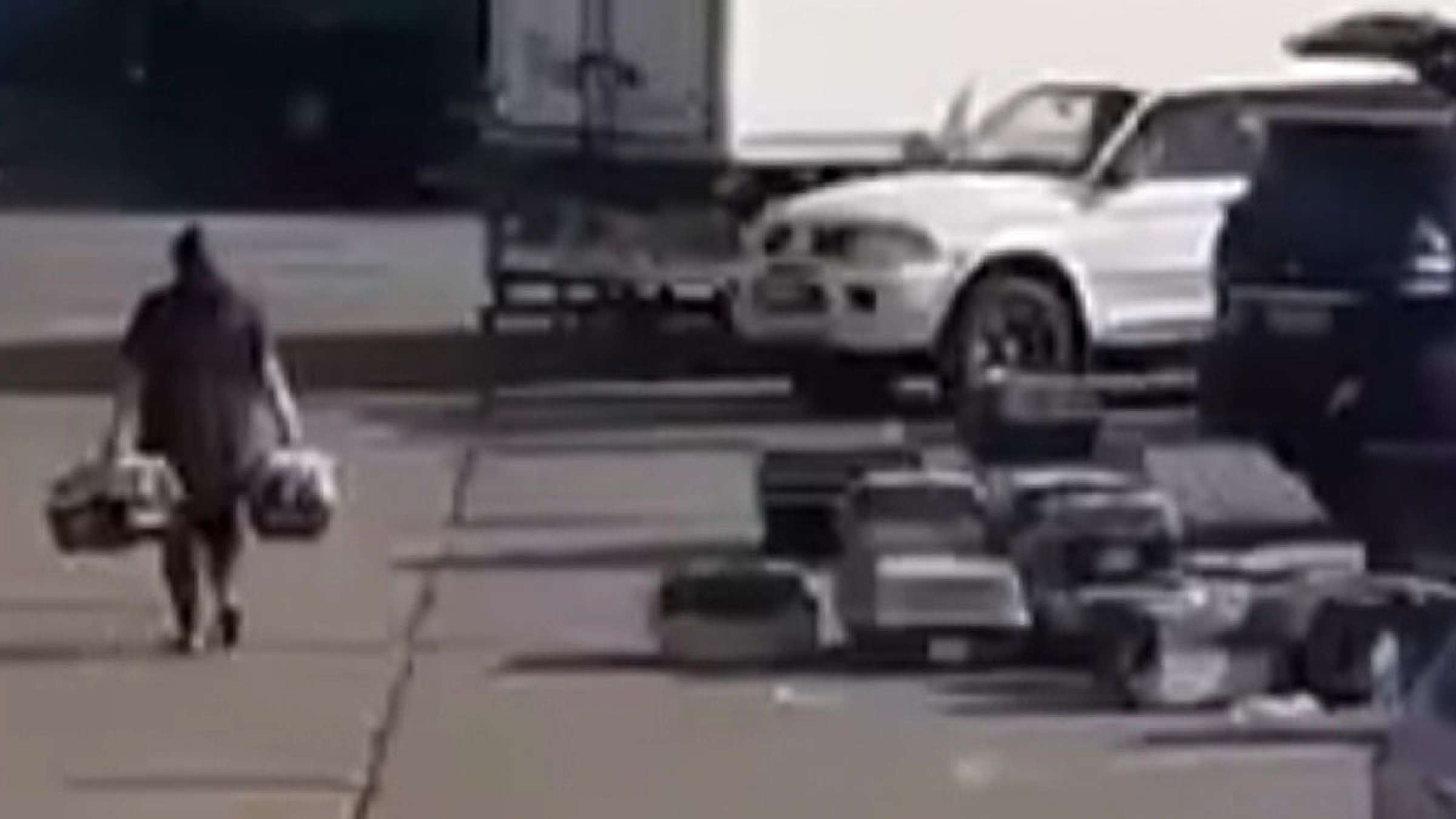 اخبار-تورنتو-مرگ-ده-ها-سگی-که-از-اوکراین-وارد-تورنتو-کانادا-شدند-آغاز-تحقیقات-رسمی