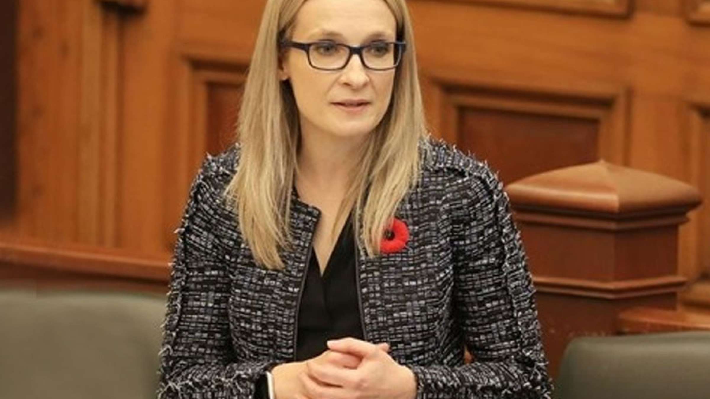 اخبار-تورنتو-نماینده-و-جانشین-رهبر-مجلس-انتاریو-به-دو-فقره-حمله-به-شوهرش-متهم-شد