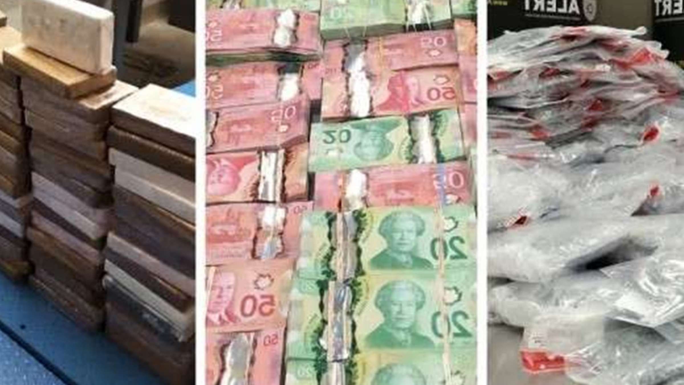 اخبار-کانادا-با-رئیس-مافیای-کانادا-آشنا-شوید