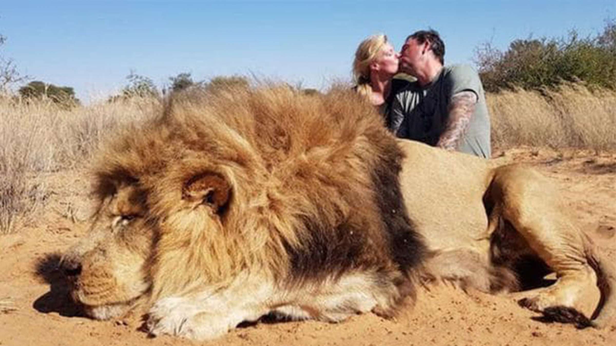 اخبار-کانادا-جنجال-بر-سر-عکس-بوسه-دو-نامزد-کانادایی-کنار-جنازه-شیر