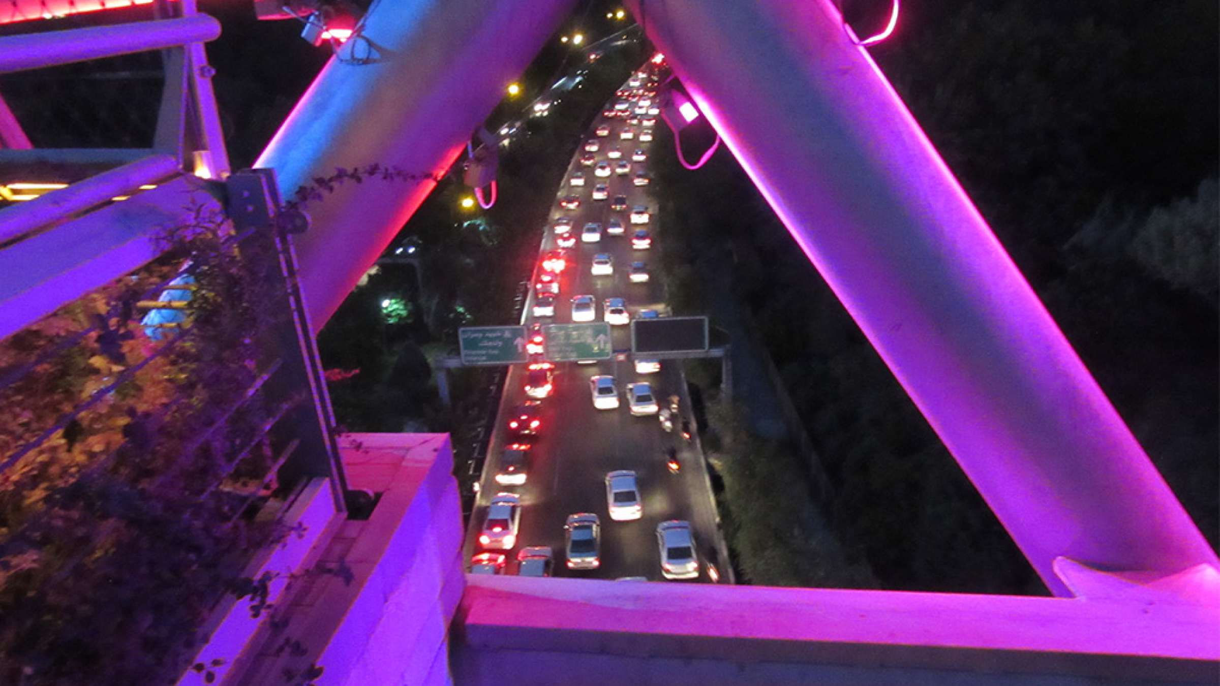 ادبیات-گل‌محمدی-تهران-با-ظاهری-زیبا-درونی-ناهنجار-و-جلوه‌هایی-امید‌بخش-بزرگراه