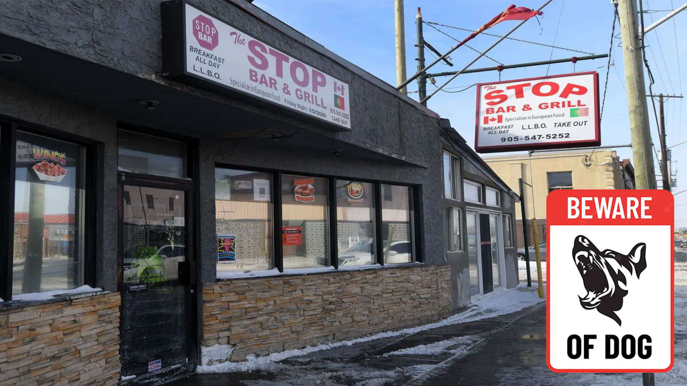 خبر-تورنتو-یازده-نفر-توسط-سگ-همیلتون-حمله-صاحب-دستگیر-متهم