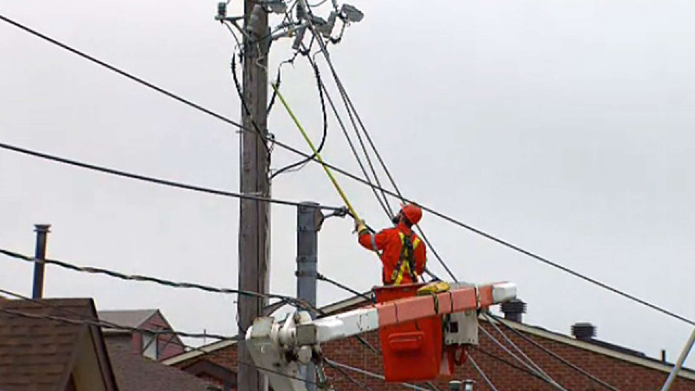 سنجابی-که-برق-یک-منطقه-را-قطع-کرد-تورنتو-اخبار