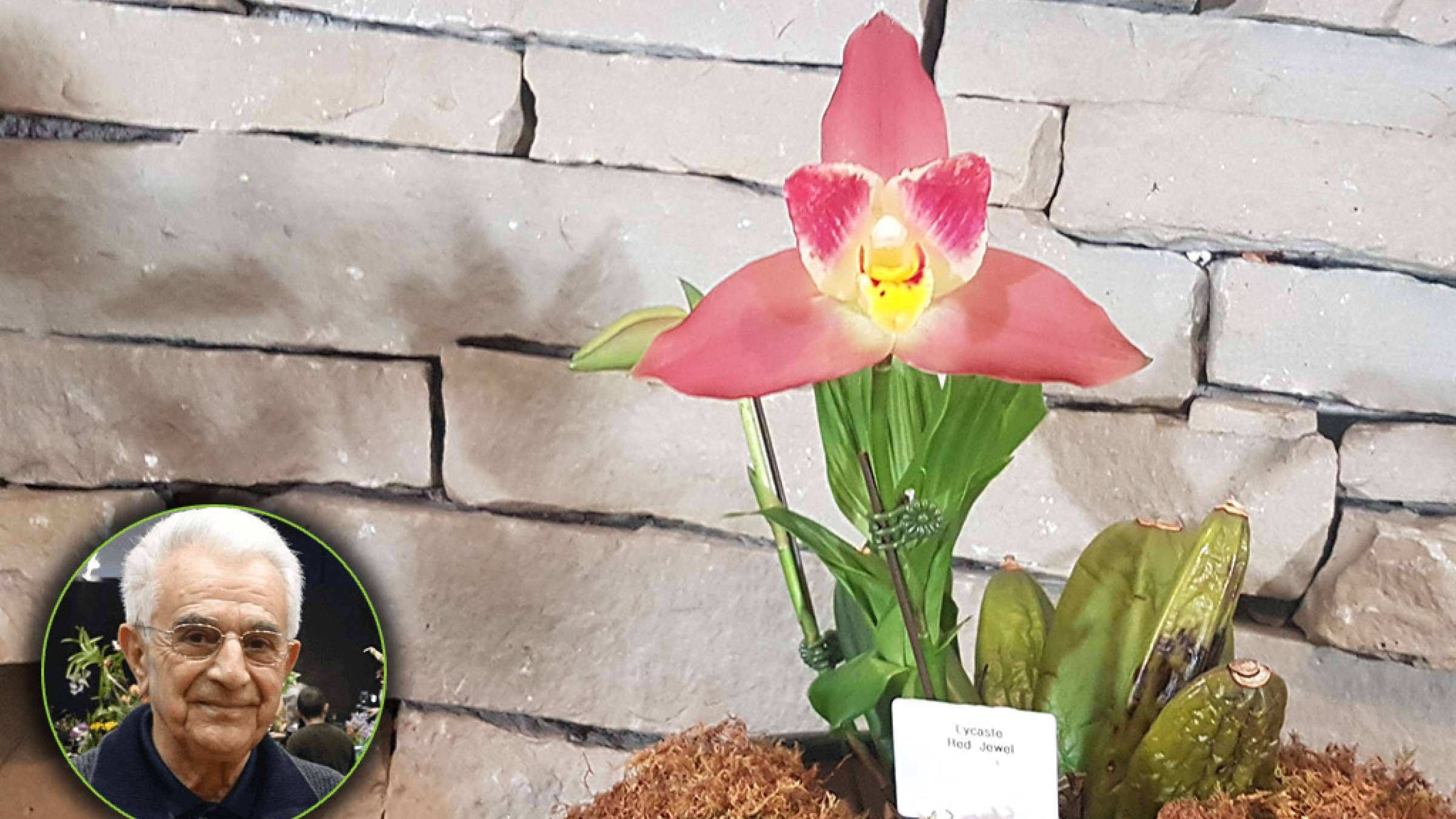 گزارش-برگزاری-نمایشگاه-ارکیده-تورنتو