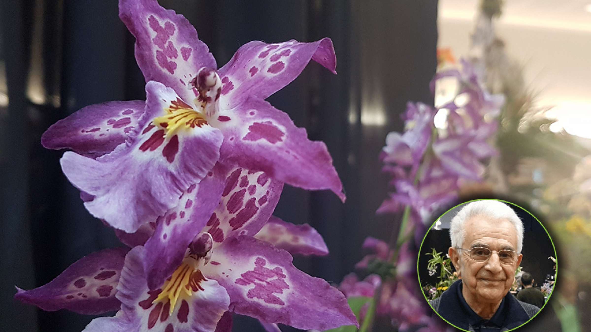 گزارش-برگزاری-نمایشگاه-سالیانه-گل-ارکیده-در-تورنتو