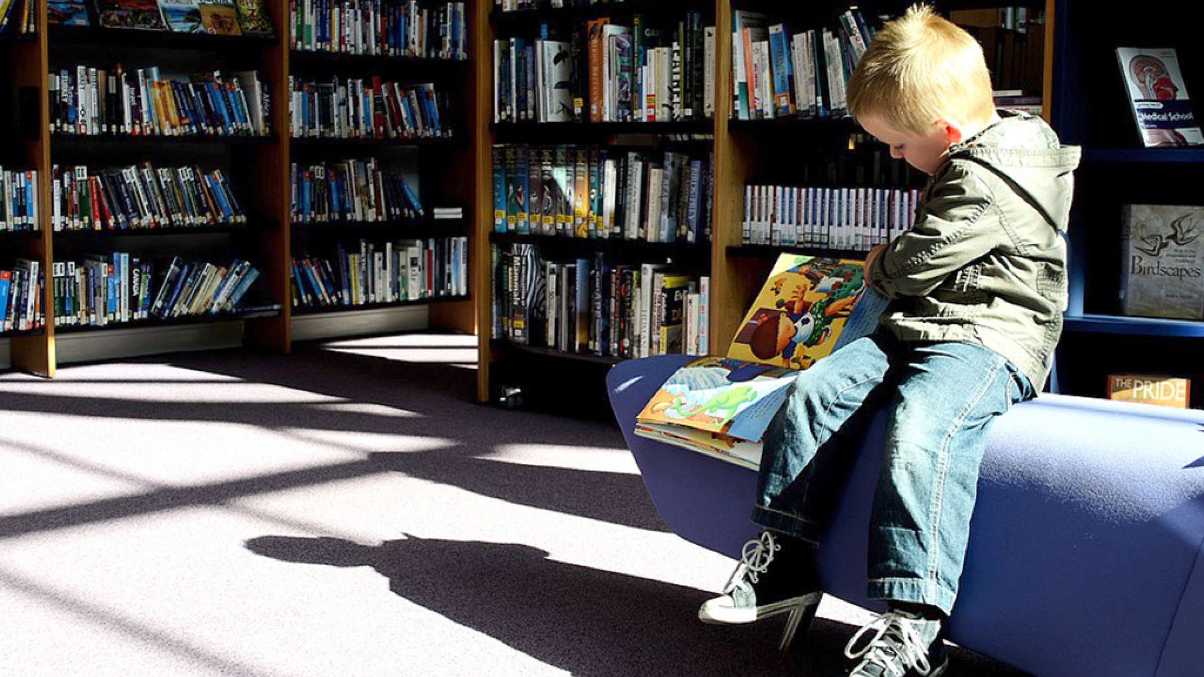 education-leila-kazemzadeh-ketab-khani