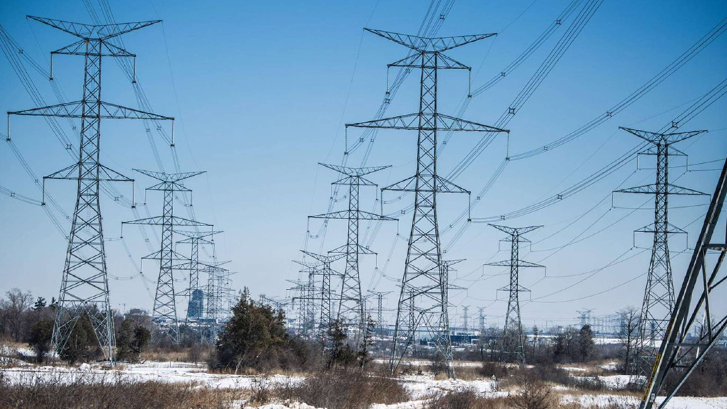 news-bargh-ontario-geran news-bargh-ontario-geran