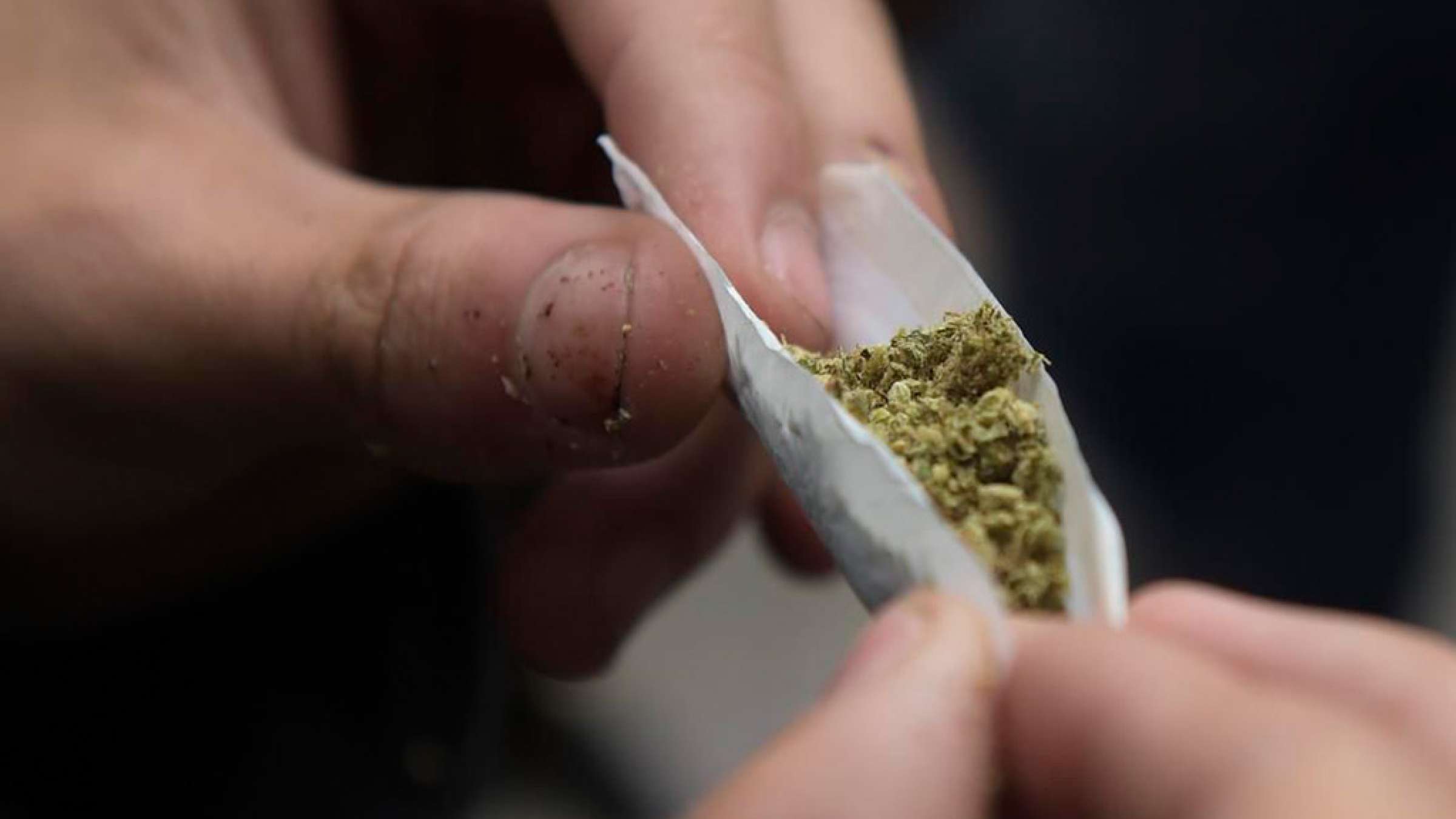 news-canada-khalaf-mibakhshad