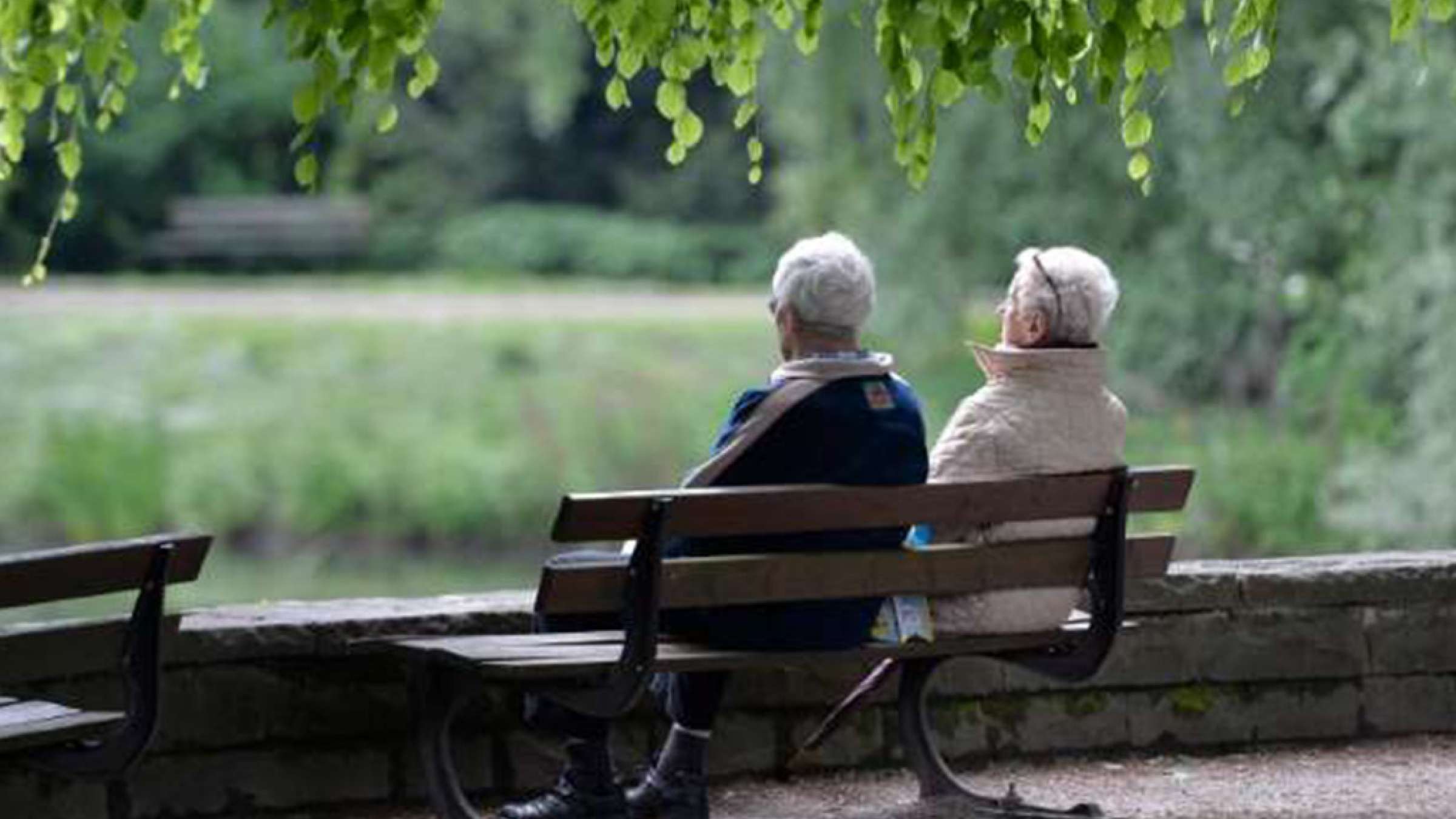 news-canada-pooldar news-canada-pooldar