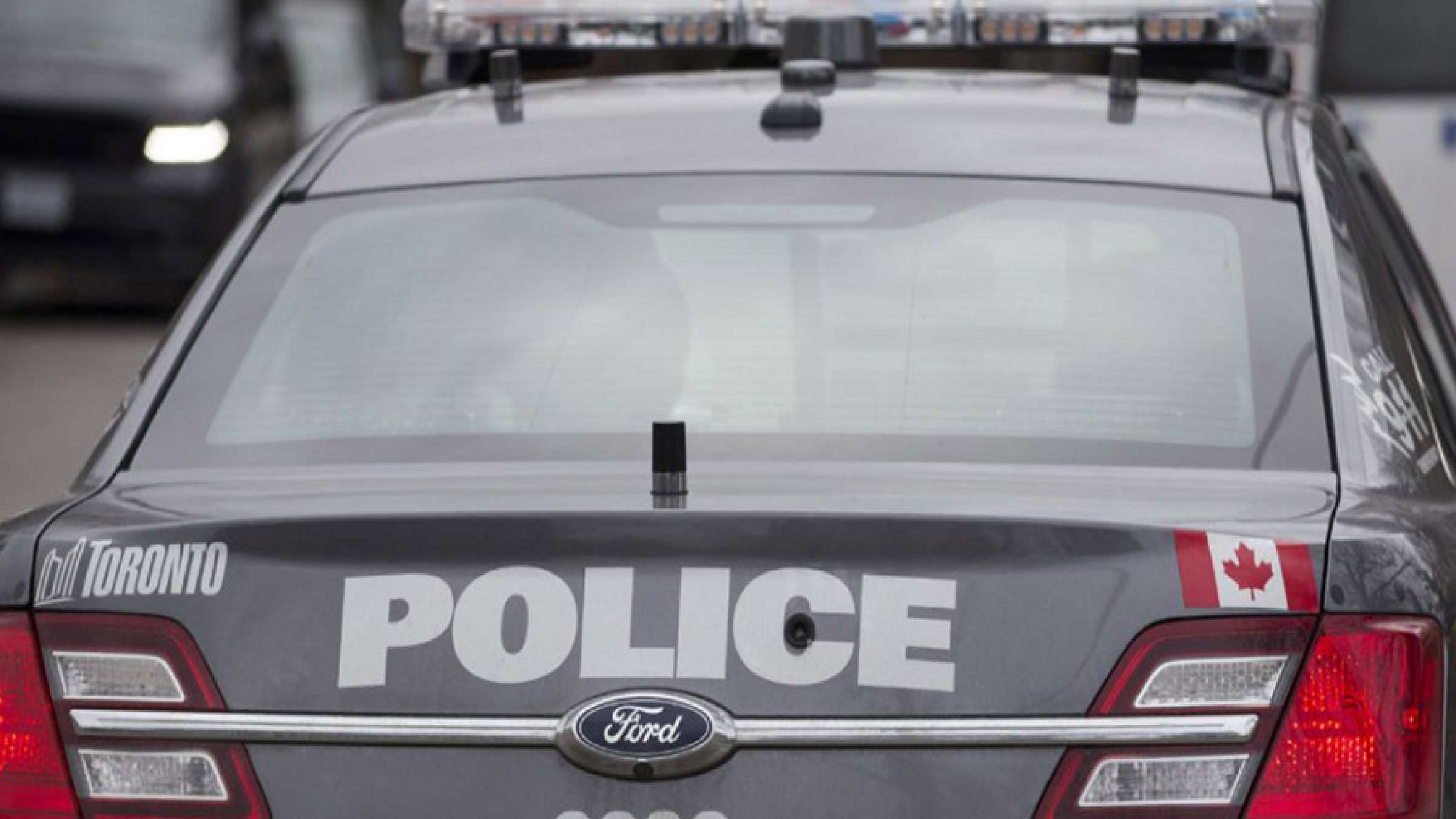 news-cocaeen-polis news-cocaeen-polis