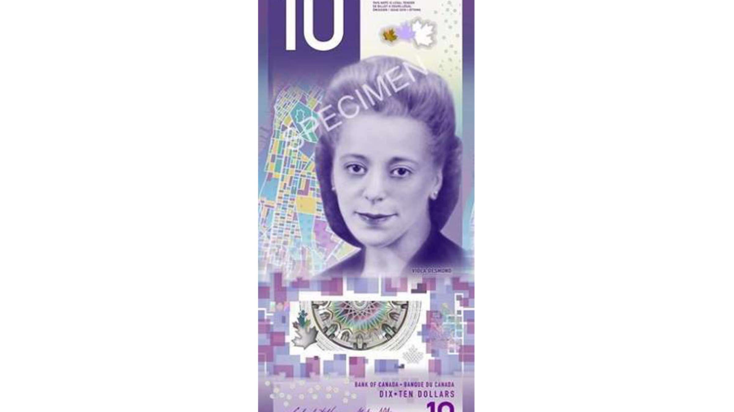 news-eskenas-10-dollari-gir-mikonad news-eskenas-10-dollari-gir-mikonad