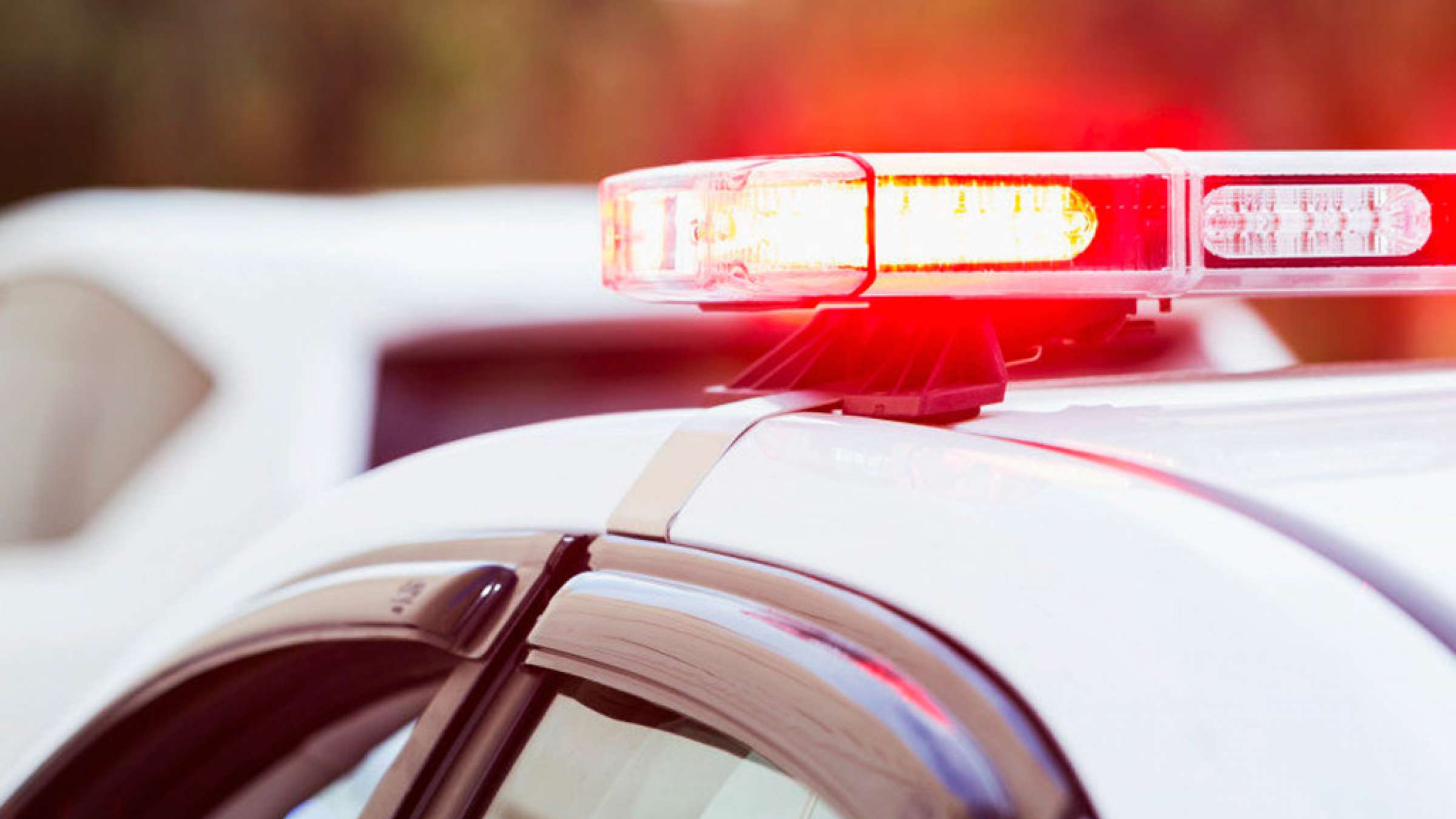 news-jarimeh-18000-monkton