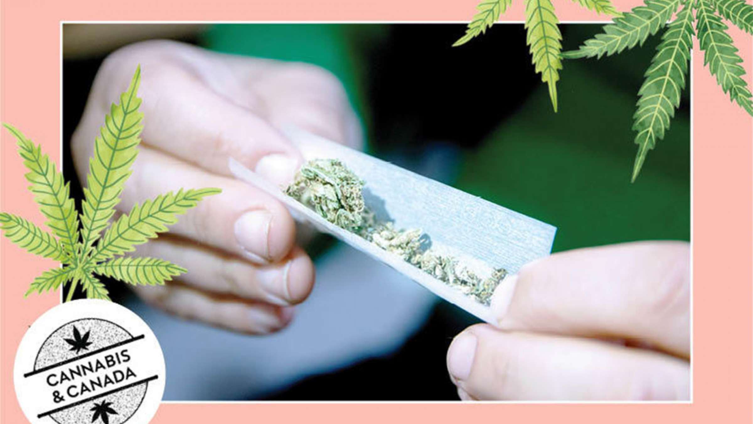 news-marijoana-hameh-chiz