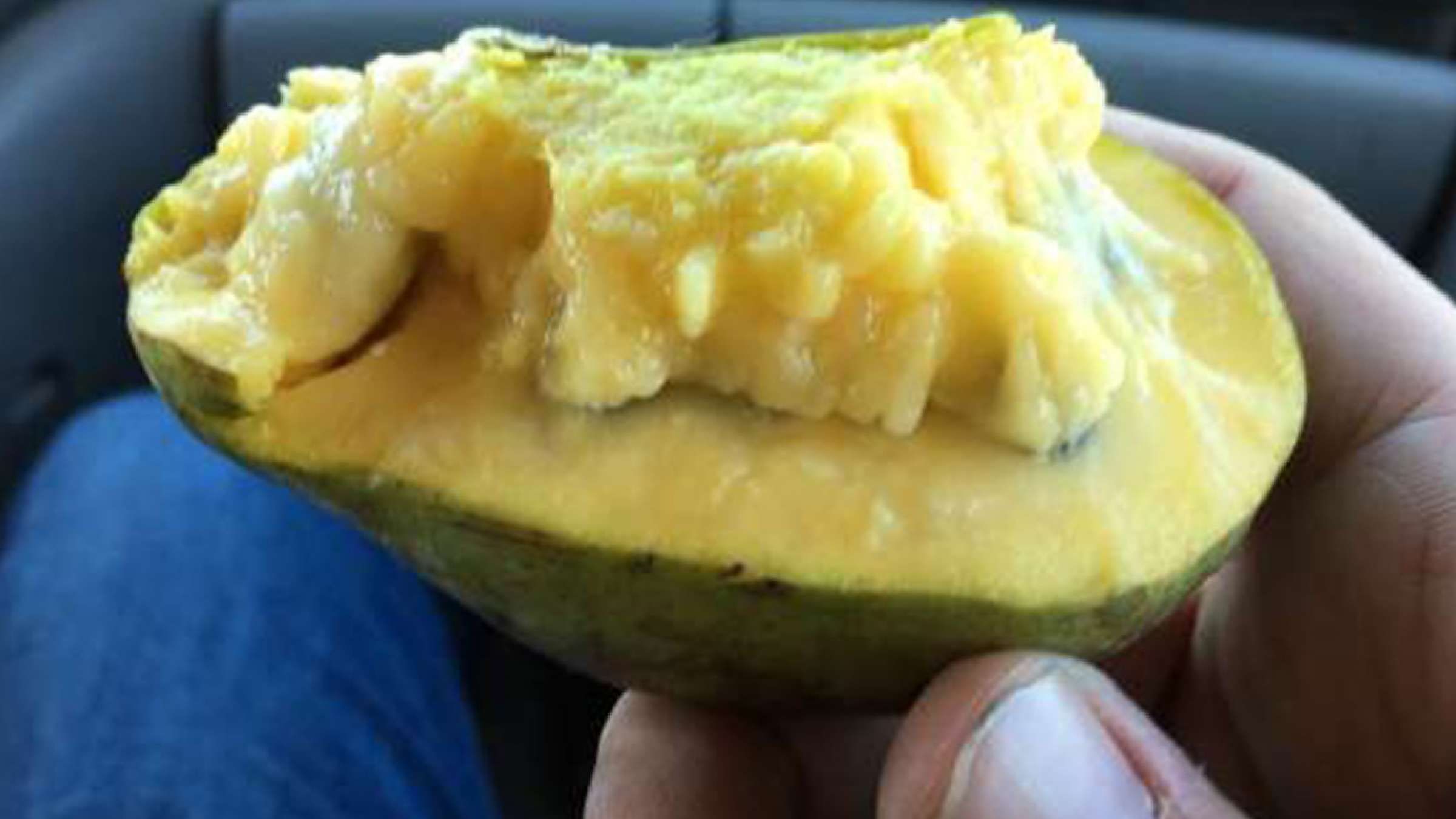 news-miveh-ontario-1 news-miveh-ontario-1