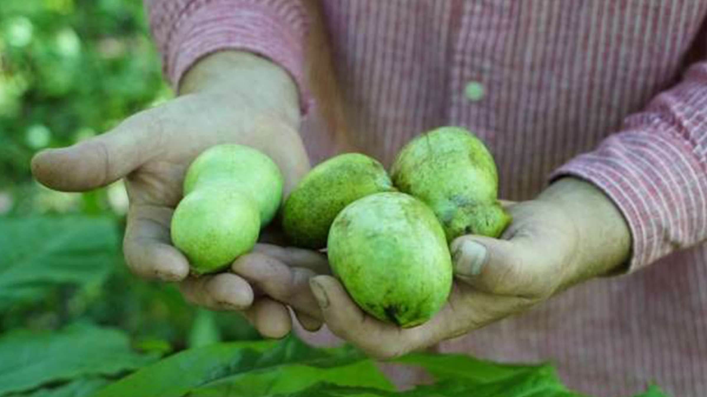 news-miveh-ontario news-miveh-ontario