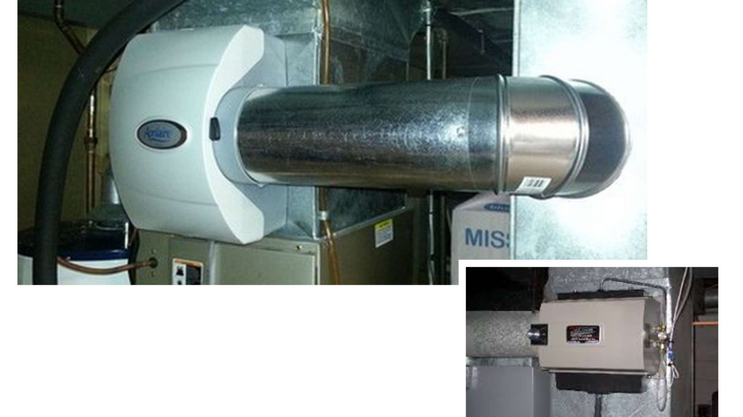 peiman-home-rotobat-money