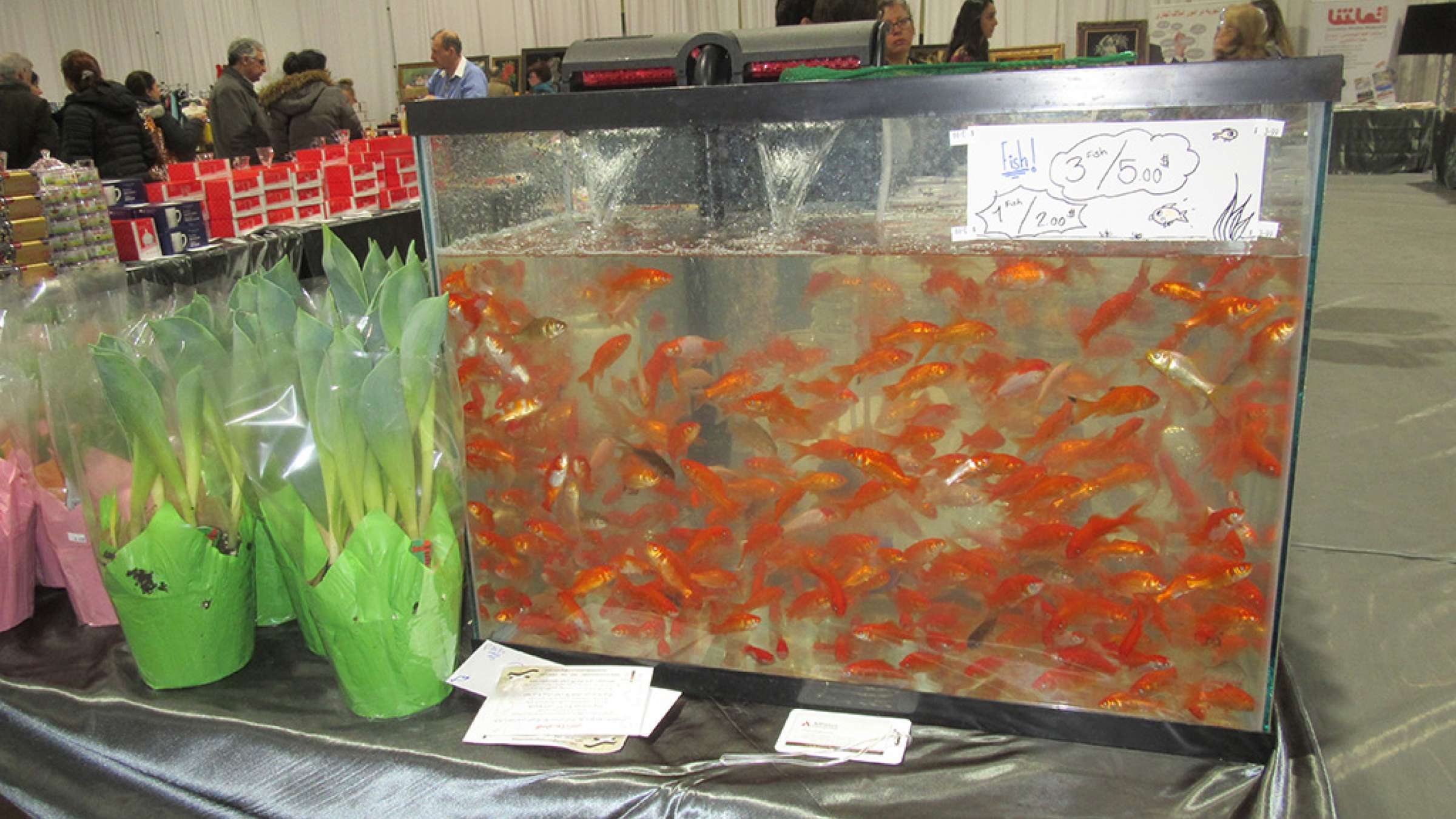 report-Bazaar-Nowruzi-1389-Mahi-Ghermez