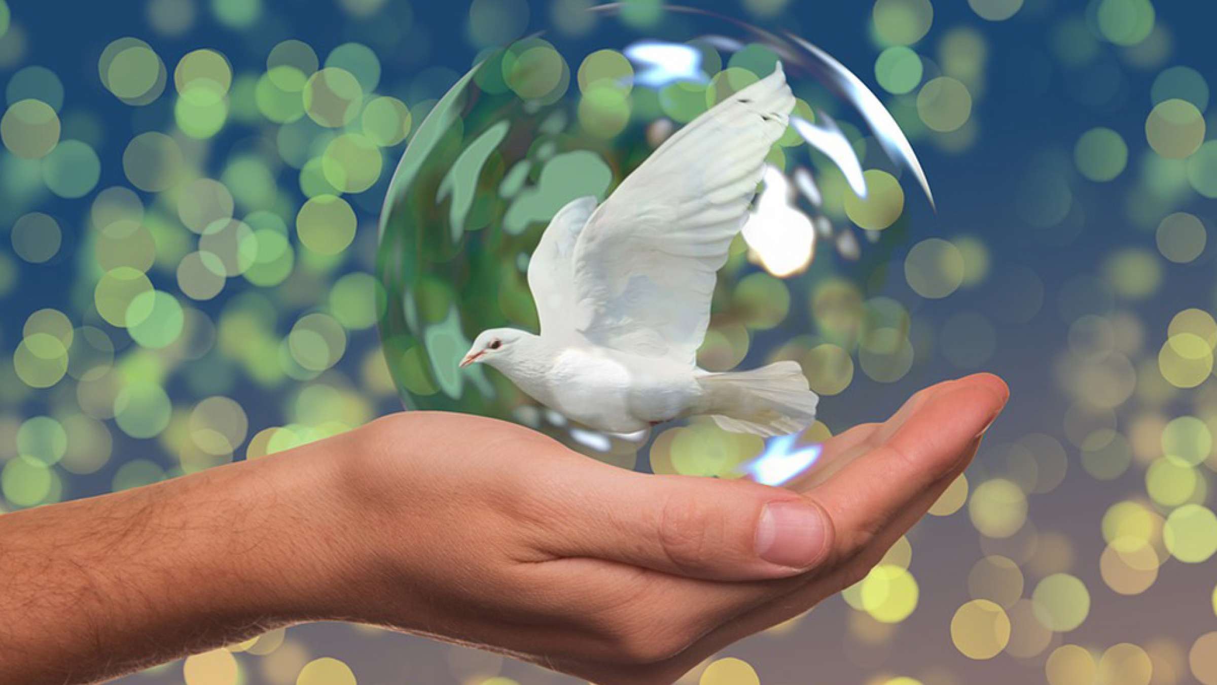 storey-mehdi-tavakoli-safir-solh