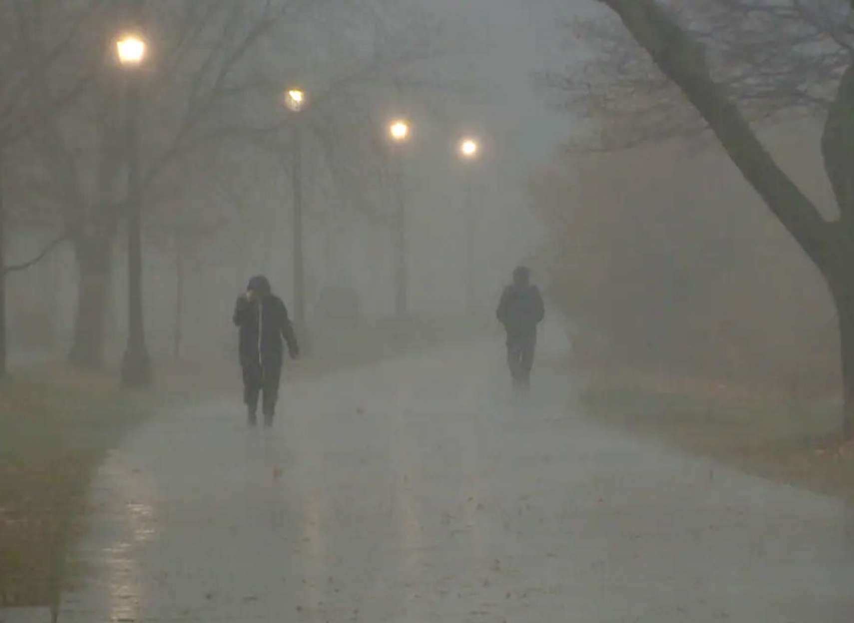 اخبار-تورنتو-باد-شدید-و-قطعی-برق-در-تورنتو-و-مونترال-۲۵-سانت-برف-در-کبک