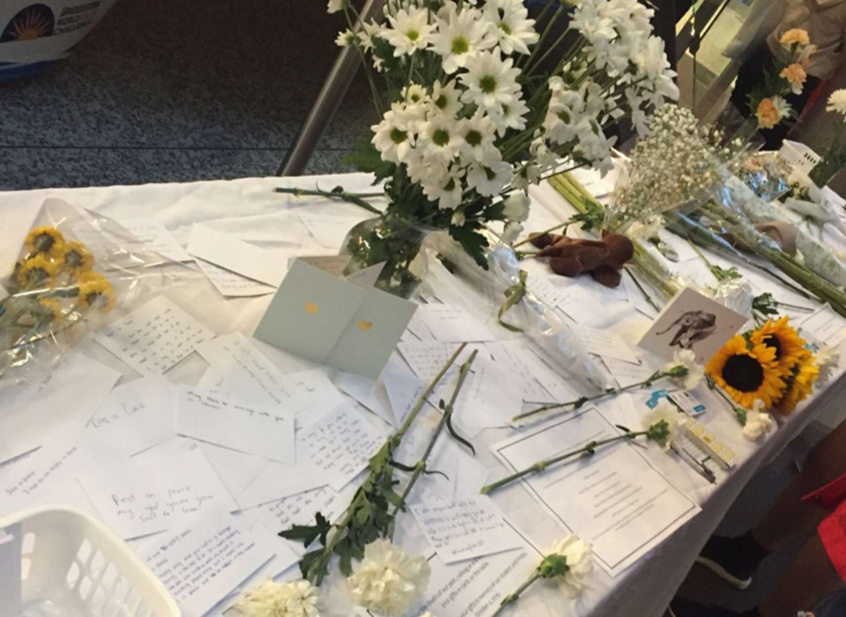 اخبار-تورنتو-برای-جلوگیری-از-خودکشی-دانشجویان-تورنتویی-مانع-نصب-می‌شود