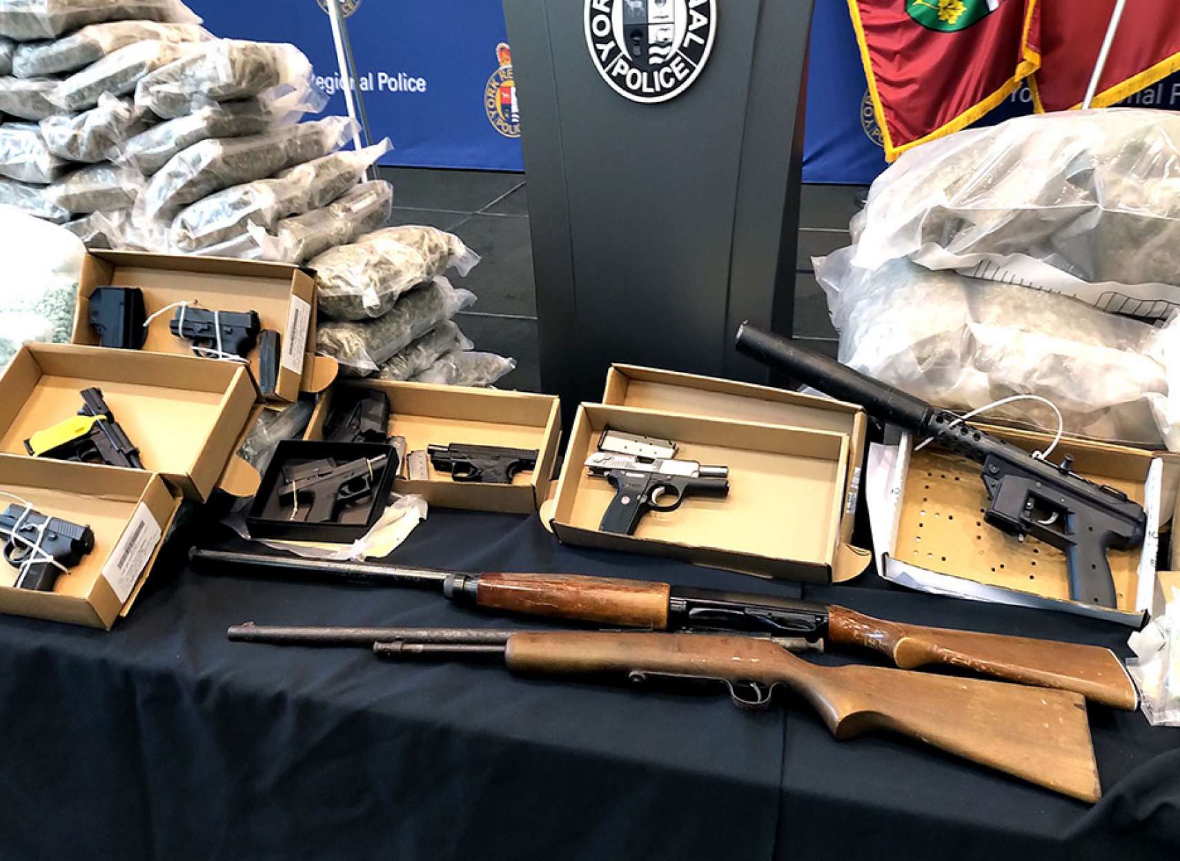 اخبار-تورنتو-قاچاقچیانی-که-با-مجوز-دولتی-ماری‌جوانا-می‌کاشتند-و-در-بازار-آزاد-می‌فروختند