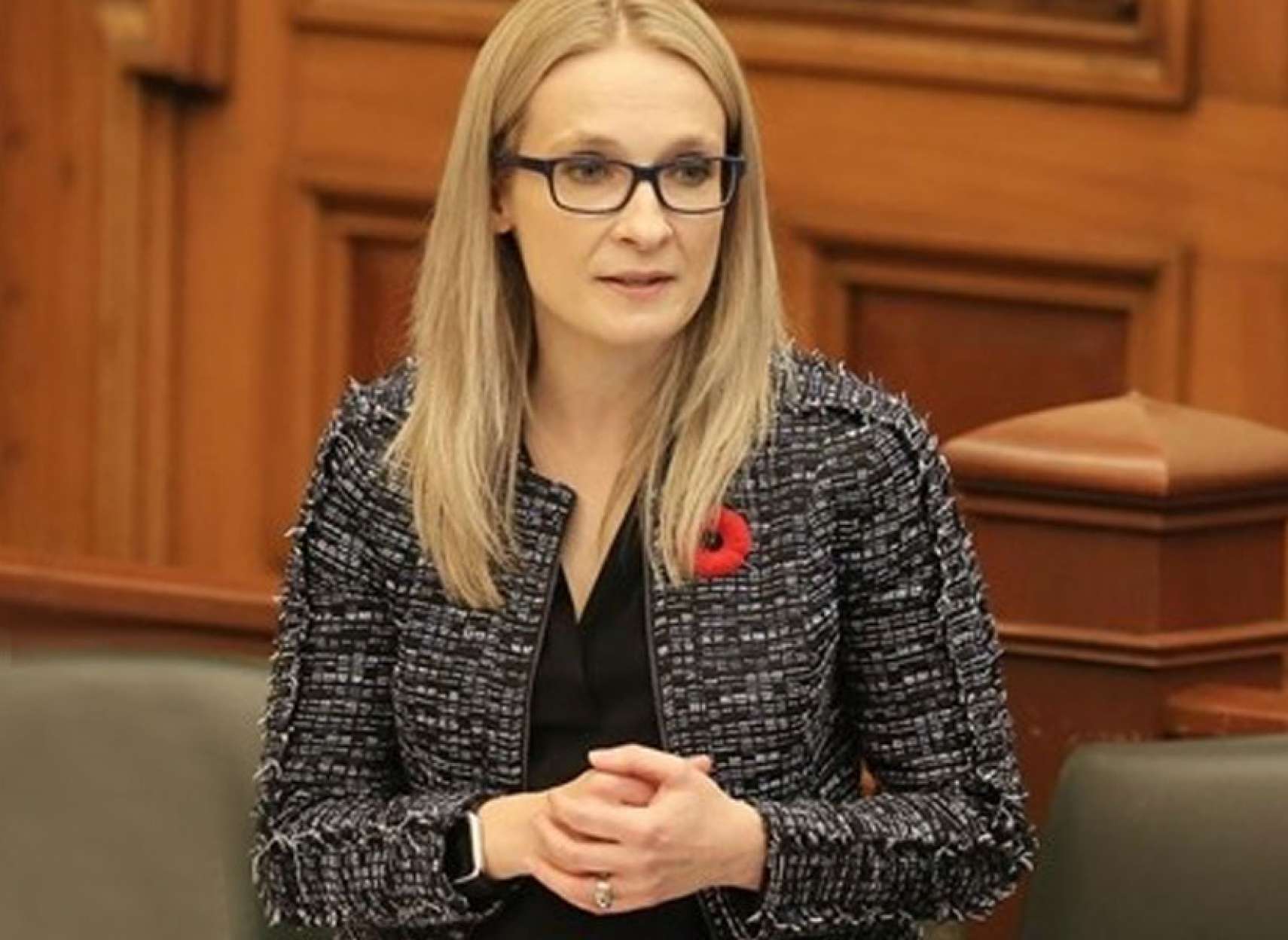 اخبار-تورنتو-نماینده-و-جانشین-رهبر-مجلس-انتاریو-به-دو-فقره-حمله-به-شوهرش-متهم-شد