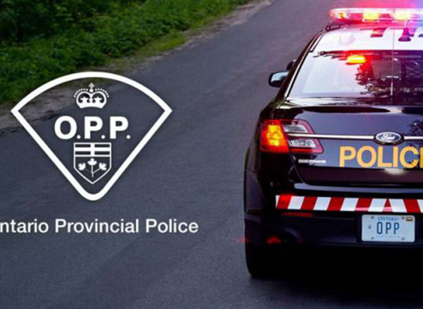 اخبار-تورنتو-پلیس-انتاریو-دیگر-جنسیت-افراد-در-جرایم-را-ذکر-نمی‌کند