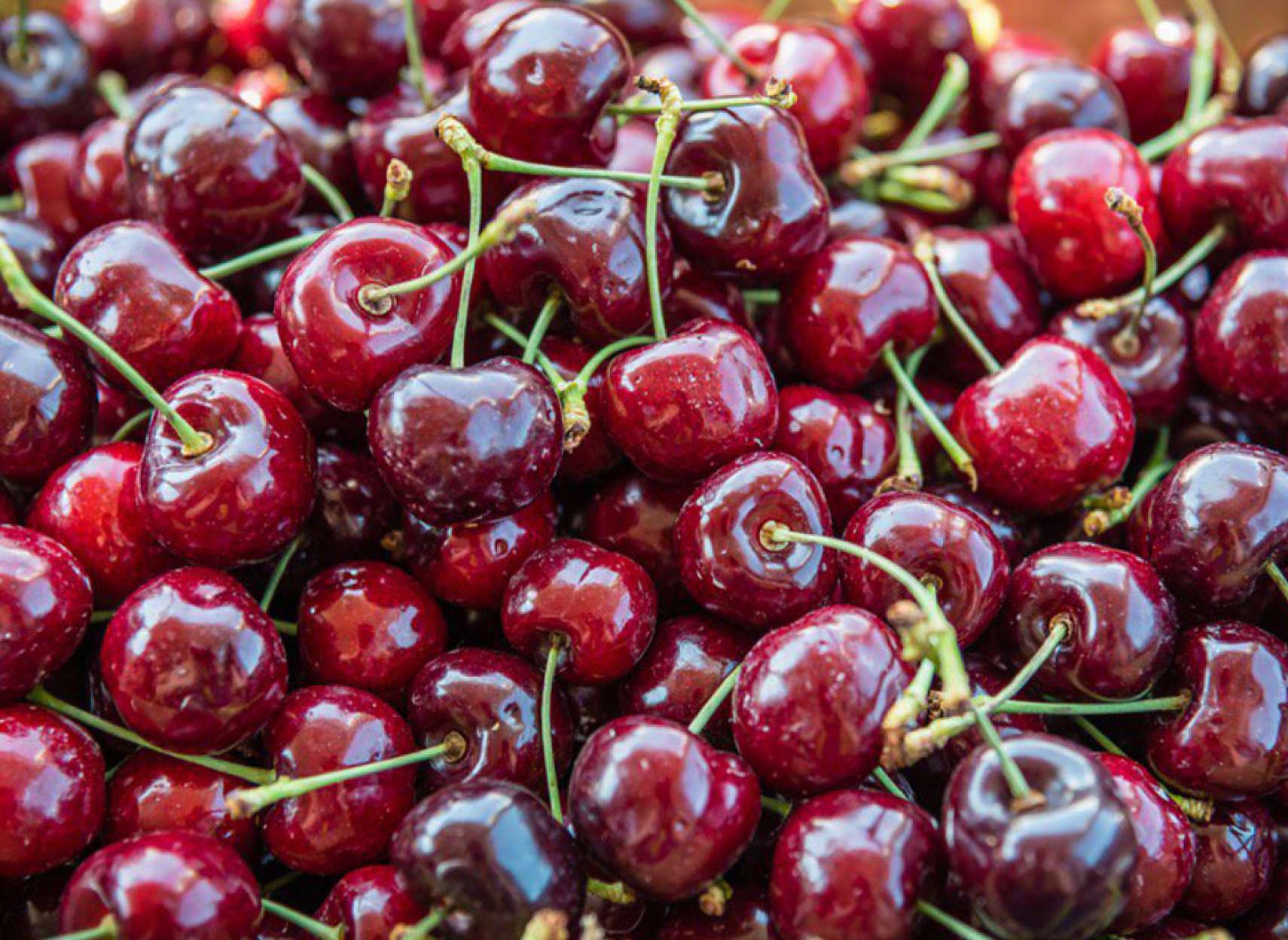 اخبار-کانادا-اروپا-واردات-برخی-کالاهای-کانادایی-را-معلق-می‌کند