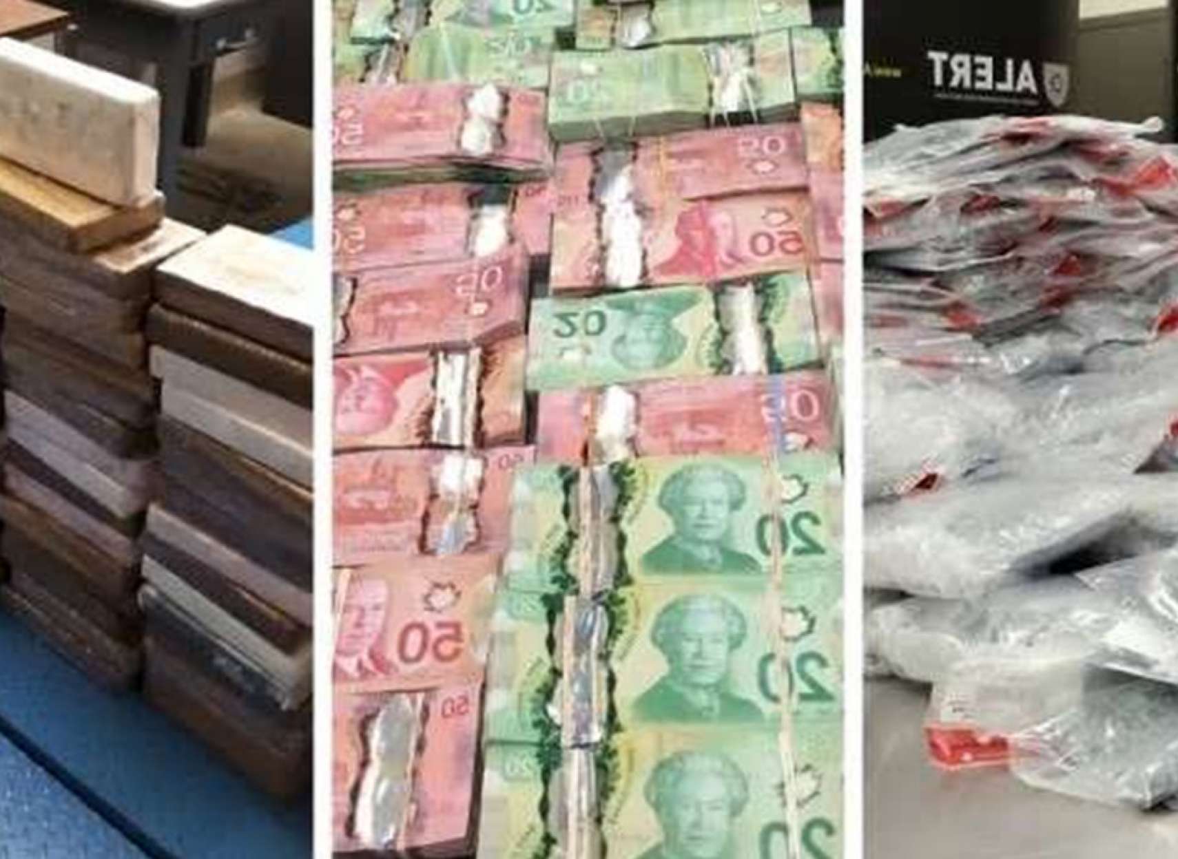 اخبار-کانادا-با-رئیس-مافیای-کانادا-آشنا-شوید