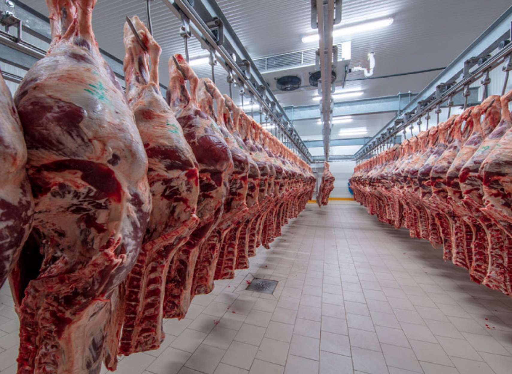 اخبار-کانادا-بزرگترین-مرکز-فرآورده-گوشتی-کانادا-برای-دومین-بار-کرونایی-شد