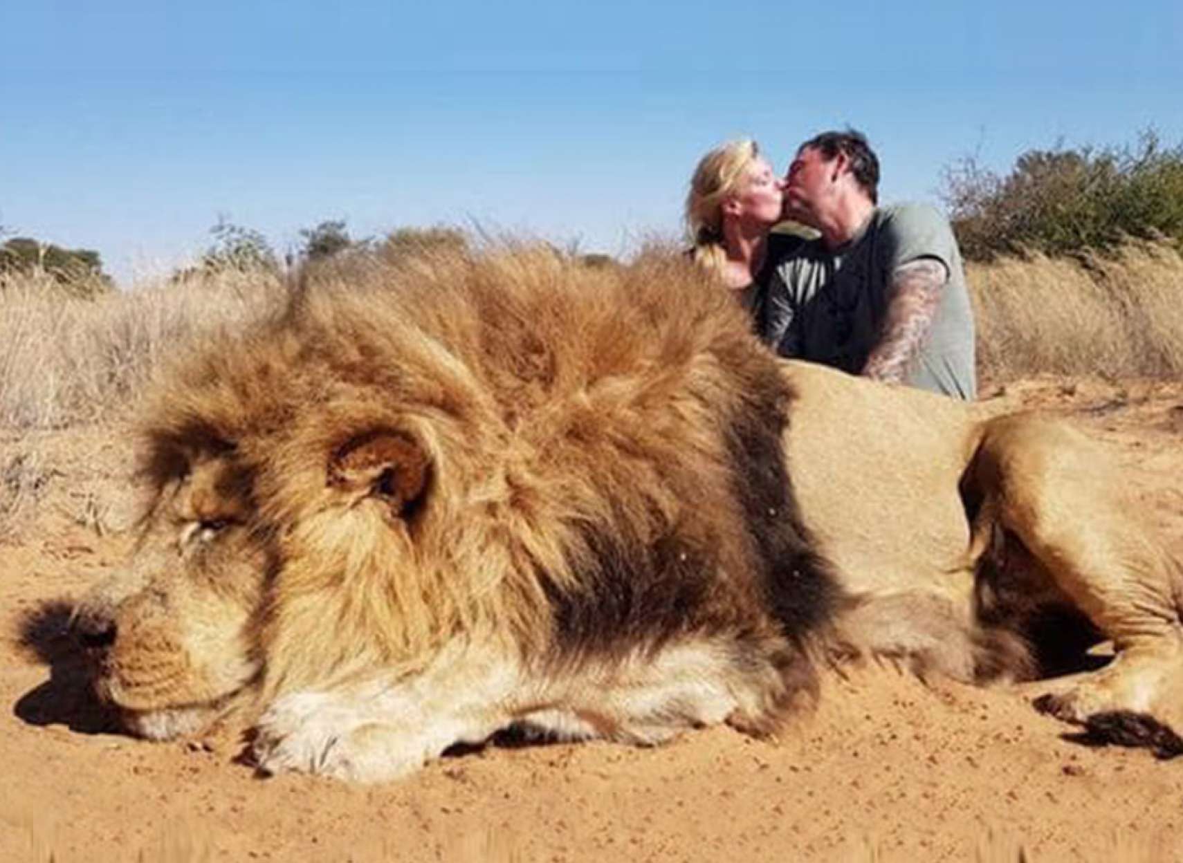 اخبار-کانادا-جنجال-بر-سر-عکس-بوسه-دو-نامزد-کانادایی-کنار-جنازه-شیر