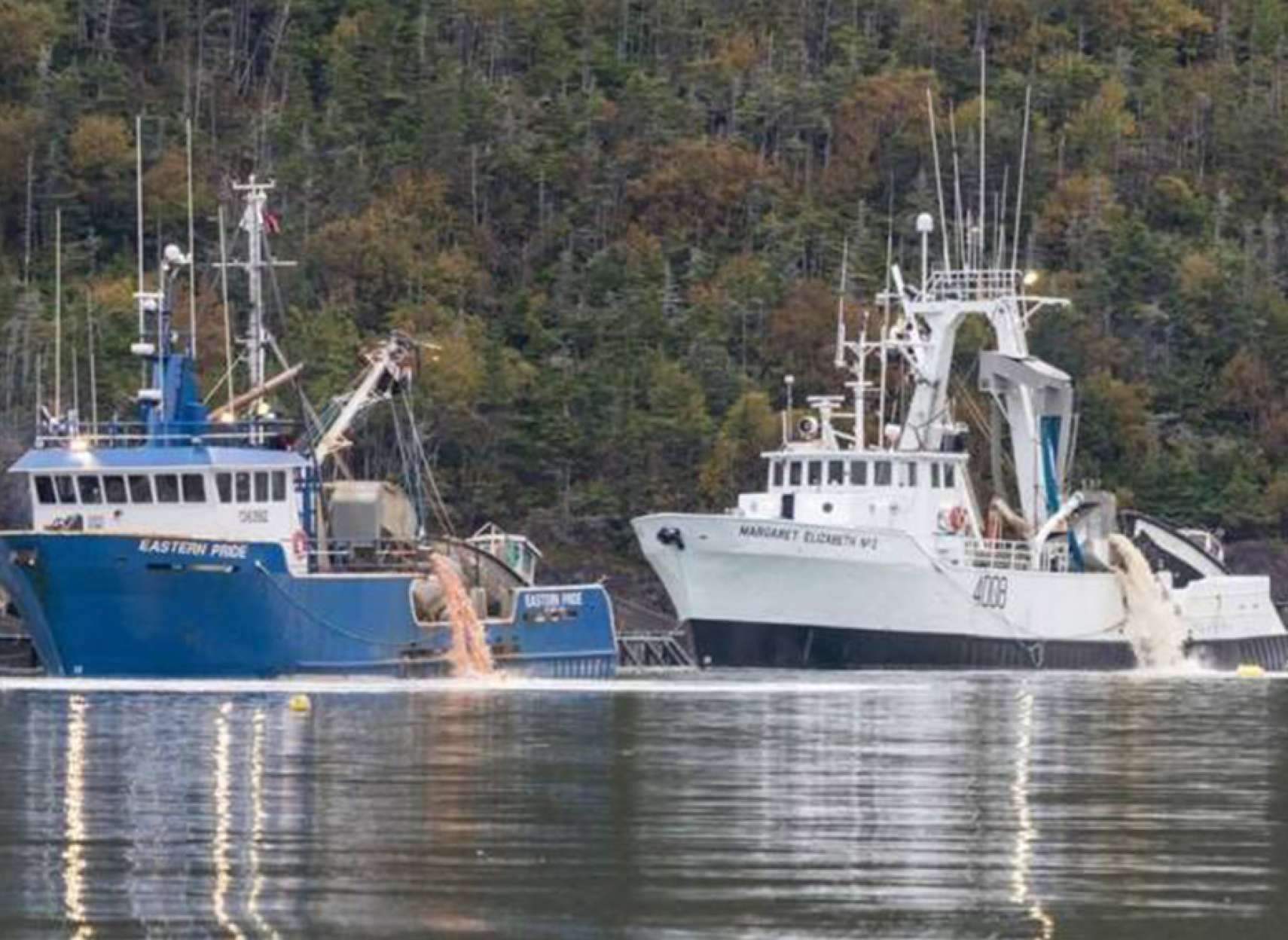 اخبار-کانادا-دو-و-نیم-میلیون-ماهی-در-شرق-کانادا-مُردند