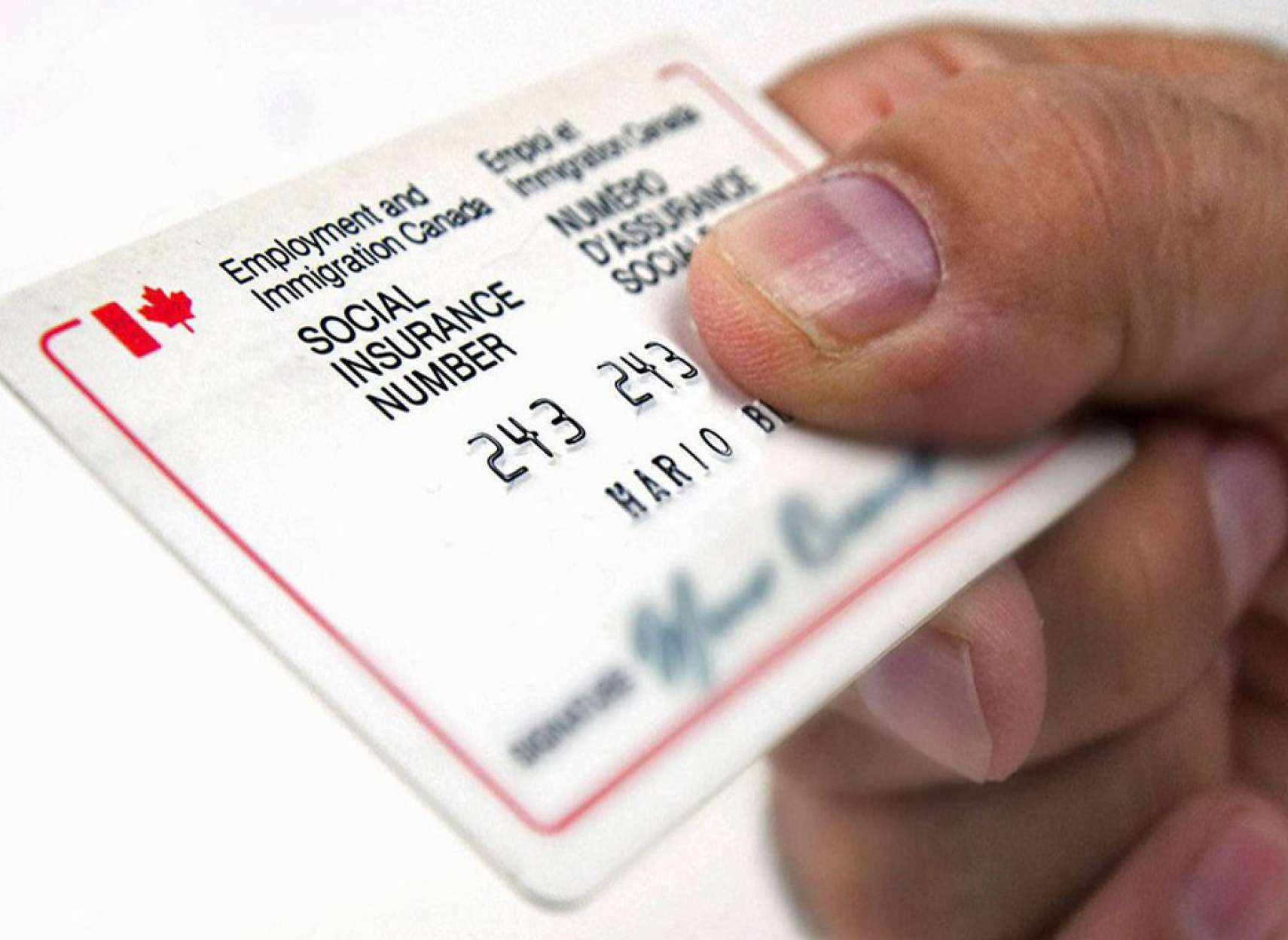 اخبار-کانادا-شاید-شماره-ملی-شما-جایگزین-شود