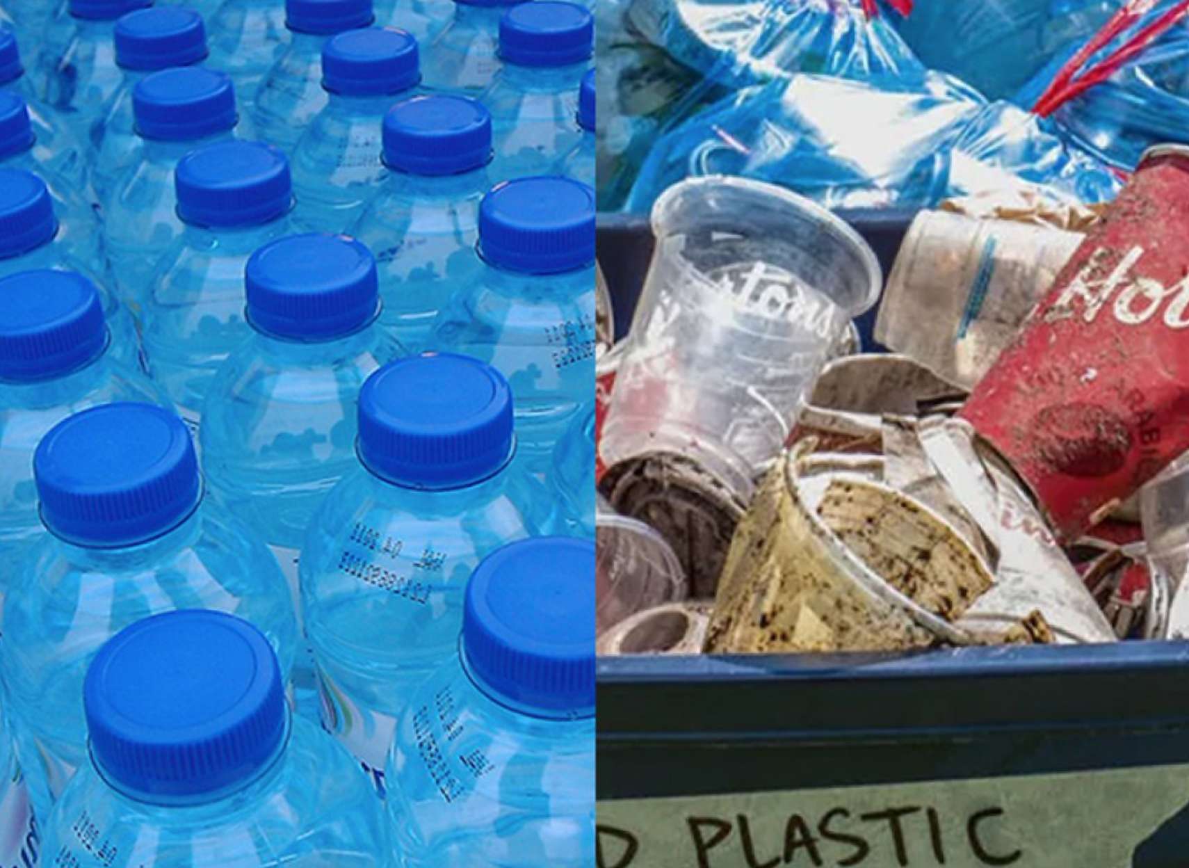 اخبار-کانادا-نستله-و-تیم‌هورتونز-بزرگترین-آلوده‌کننده‌ها-پلاستیکی-کانادا