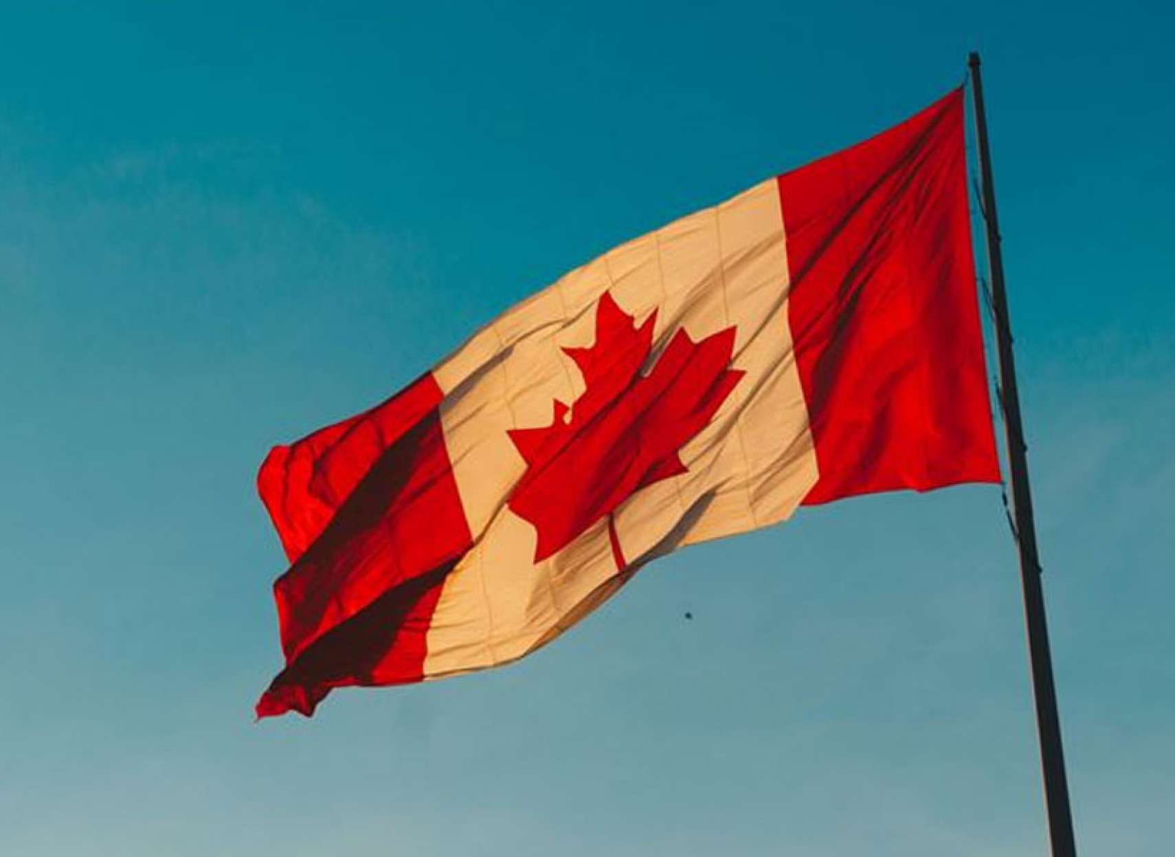 اخبار-کانادا-همه-اتفاقات-مهم-کانادا-در-سال-2019