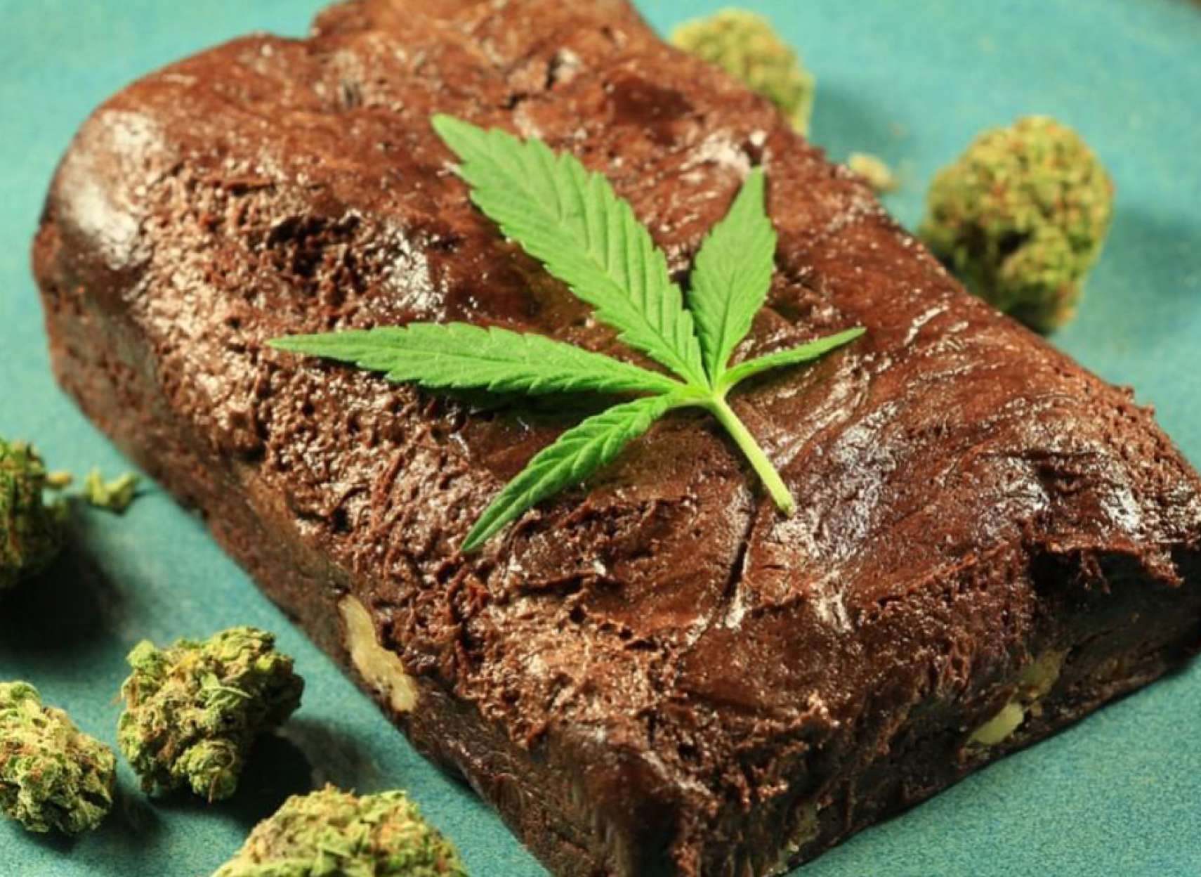 اخبار-کانادا-کیک-های-ماری-جوانایی-در-مدرسه-بچه-ها-را-مریض-کرد