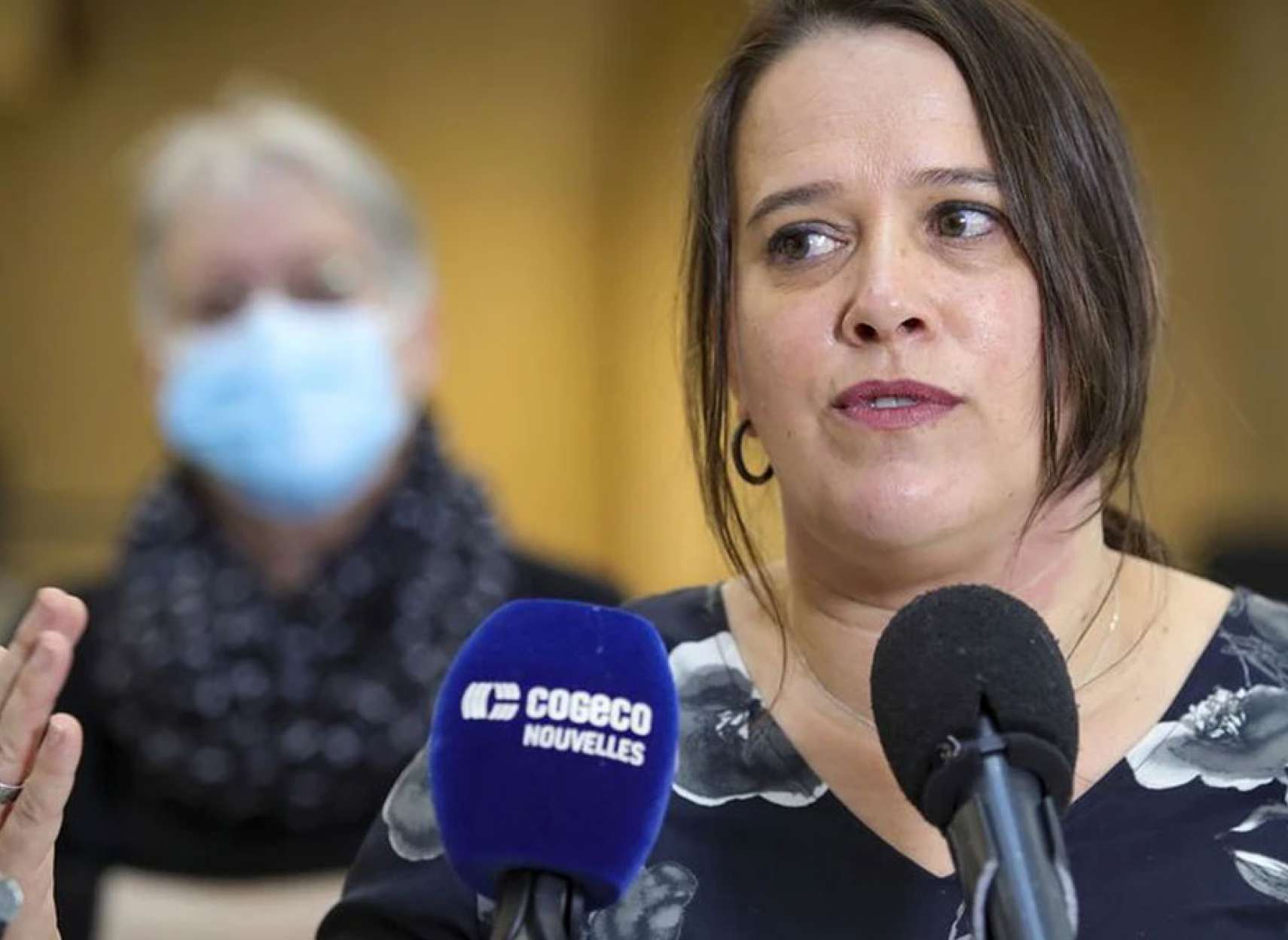 اخبار-کبک-تلویحا-خواستار-بستن-مرزش-با-انتاریوست-دو-ماه-سخت-در-پیش-است